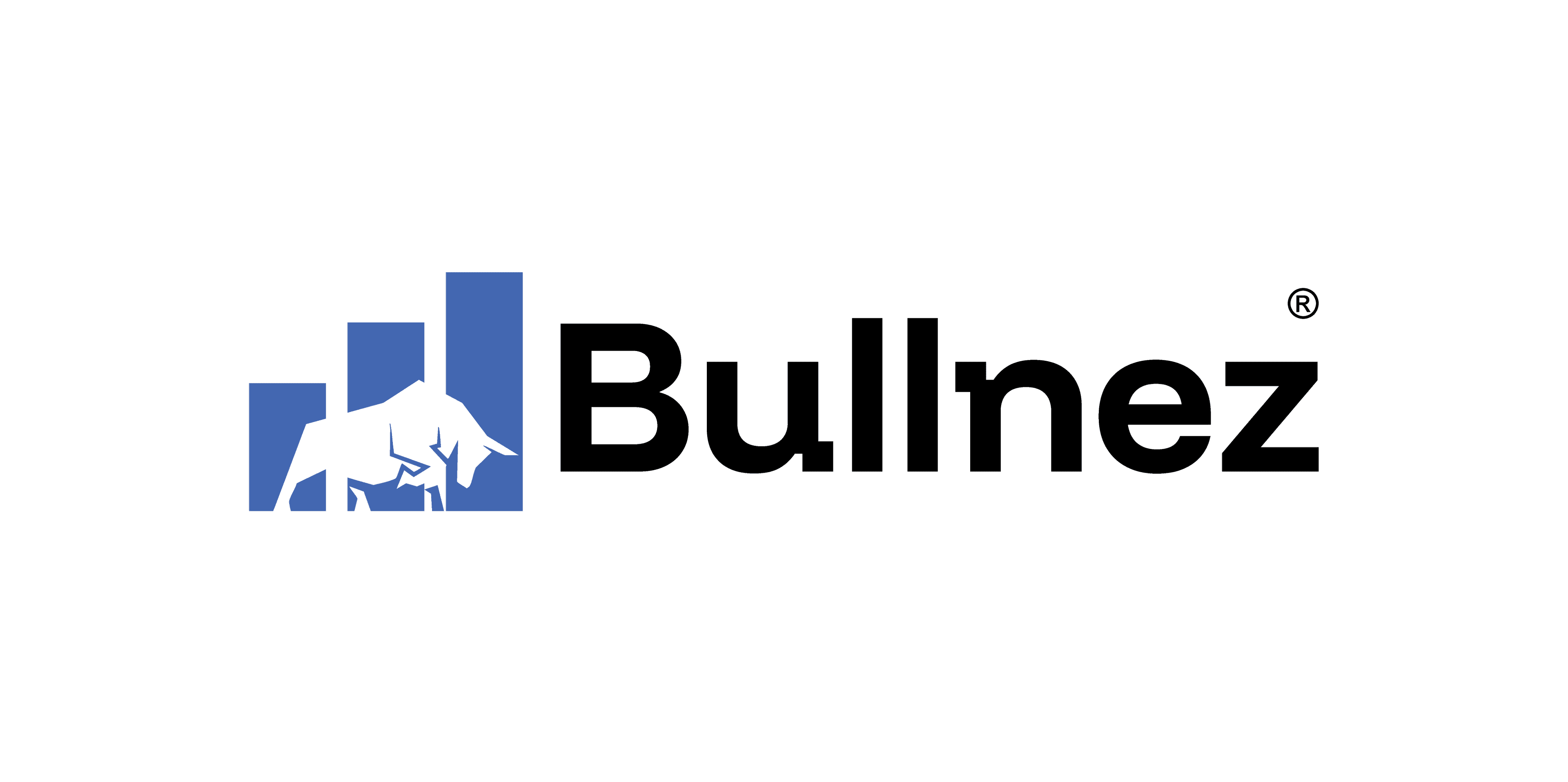 Bullnez Logo